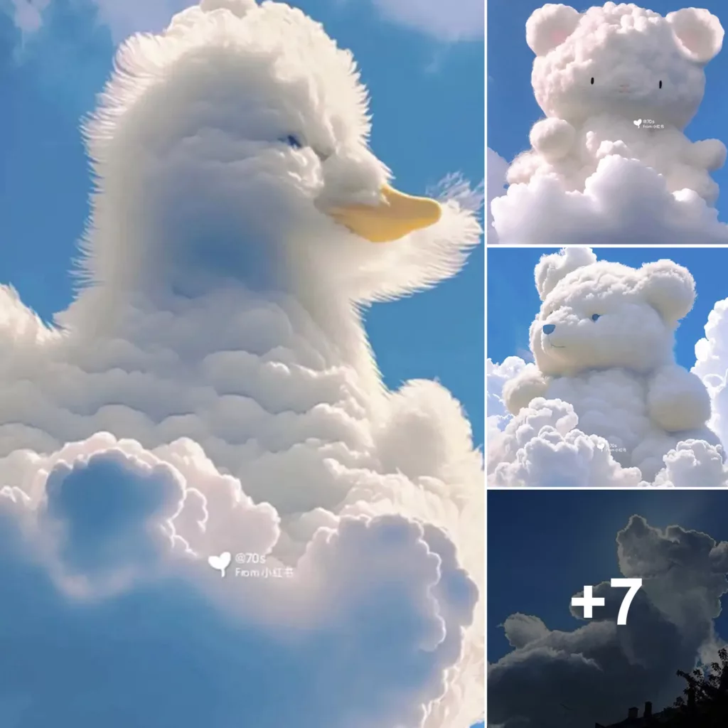 Discover the Cuteness: Teddy Bear Cloud Brings Sweet Smiles to the Sky